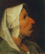 BRUEGEL, Pieter the Elder Portrait of an Old Woman  gfhgf oil on canvas
